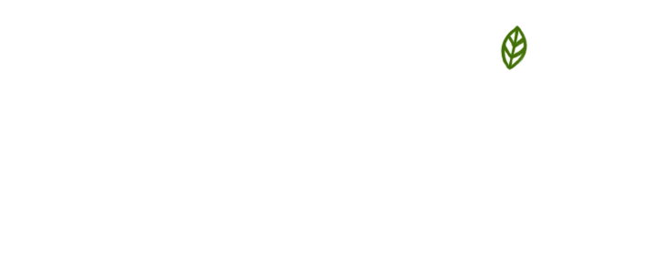 Molemin – Natürlich Kind | Schweizer Shop für ökologische, zeitlose Baby- und Kindermode, nachhaltiges Spielzeug & mehr