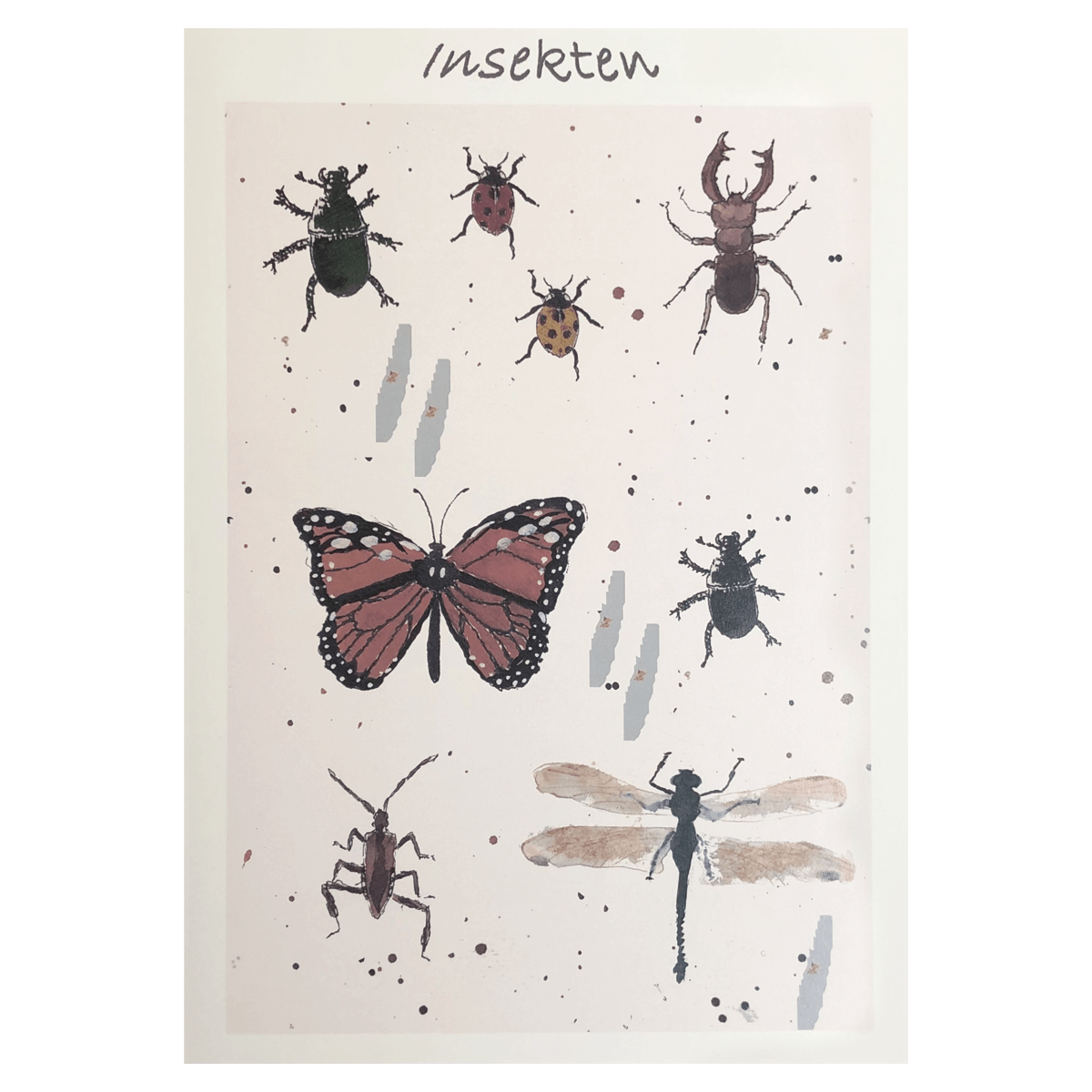 Poster A4 Insekten