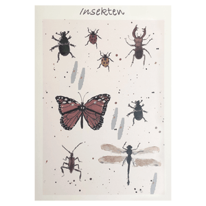 Poster A3 Insekten