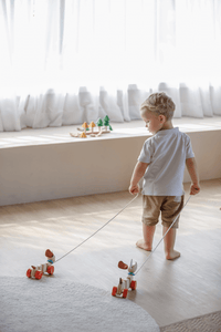 Molemin | Nachzieh-Hündchen | von Plan Toys